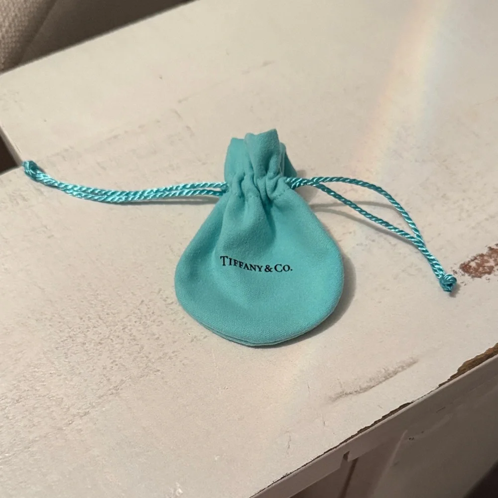 Tiffany & Co. Turquoise Jewelry Pouch only - Picture 1 of 4